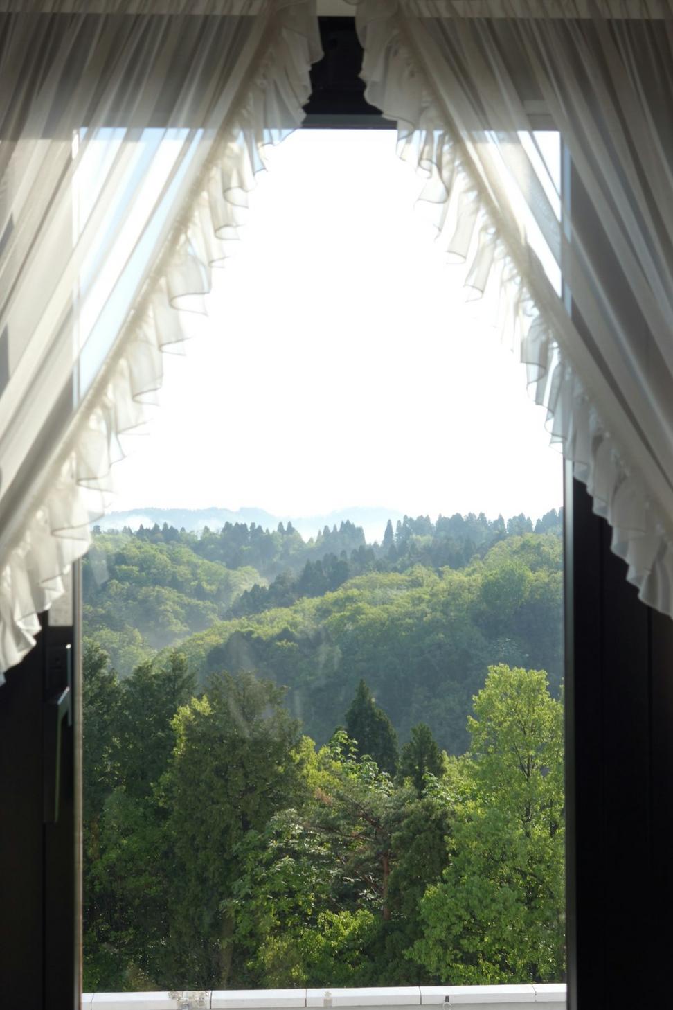 Forest View Double Suite